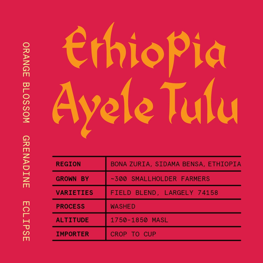 Touchy Coffee- Ethiopia Ayele Tulu 12oz