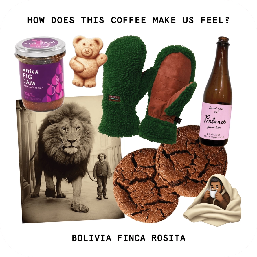 Touchy Coffee- Bolivia Finca Rosita 12oz