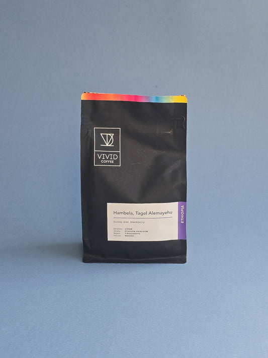 Vivid Coffee- Hambela, Washed, Ethiopia 10oz