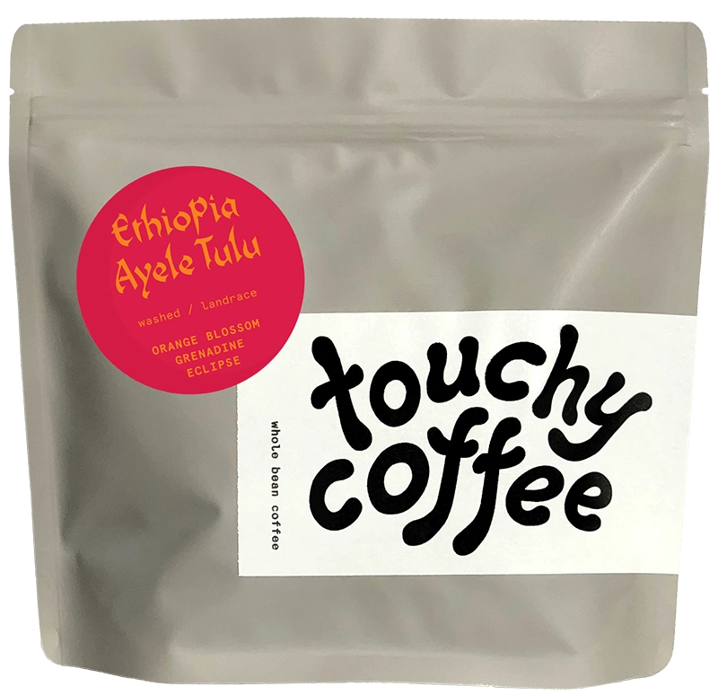 Touchy Coffee- Ethiopia Ayele Tulu 12oz