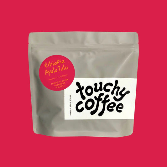 Touchy Coffee- Ethiopia Ayele Tulu 12oz
