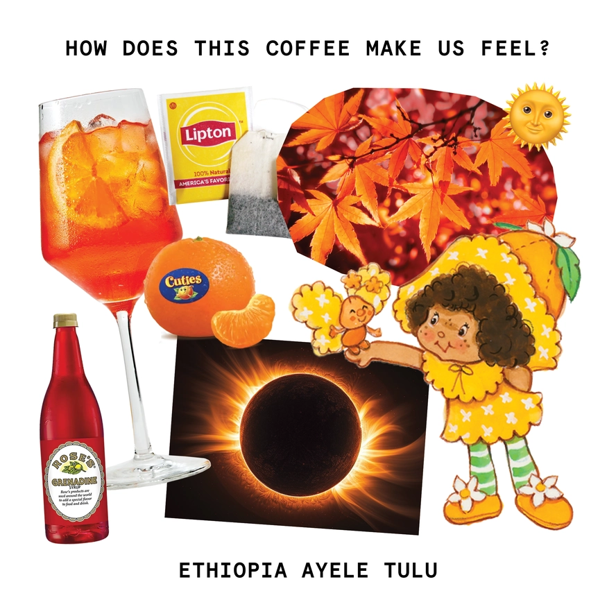 Touchy Coffee- Ethiopia Ayele Tulu 12oz