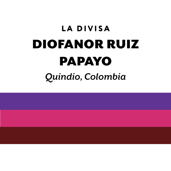 H&S Coffee- Diofanor Ruiz - Papayo - Anaerobic Natural - Colombia 125g
