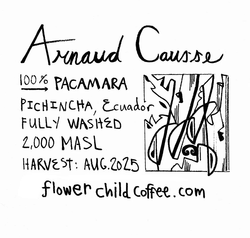Flower Child- Arnaud Causse - Pacamara - Washed- Ecuador 2lb