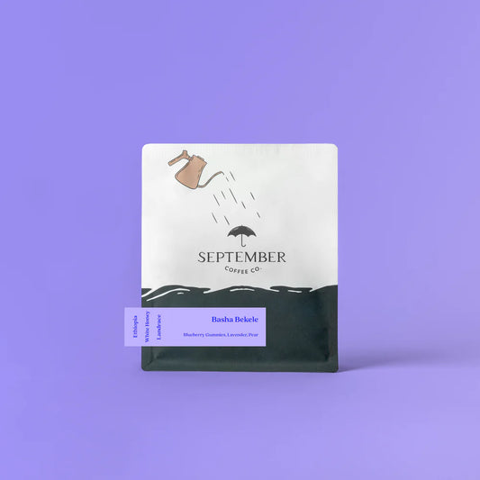 September-Basha Bekele - Jarc 74158 - White Honey- Ethiopia 250g
