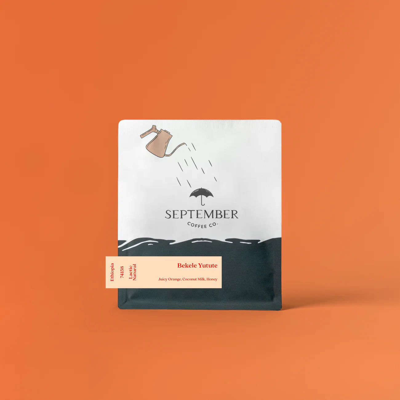 September- Bekele Yutute - Jarc 74158 - Lactic Natural - Ethiopia 1kg