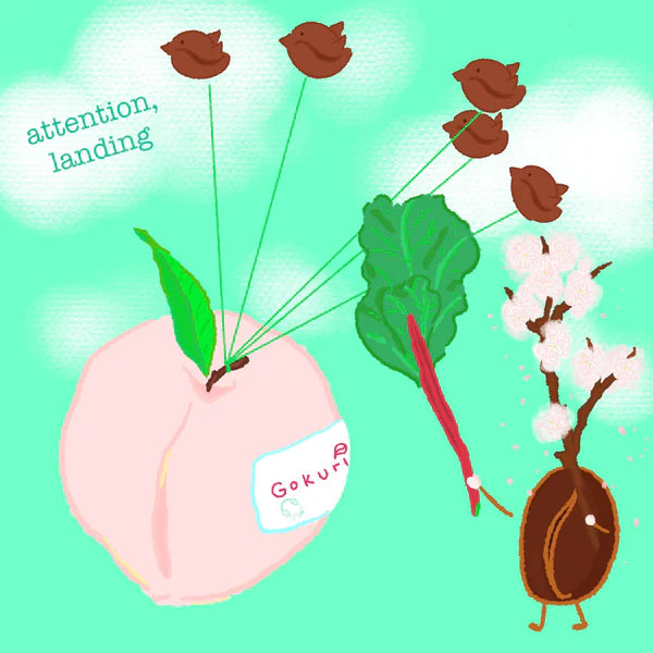 Hydrangea- Pink Bourbon - Peach - Finca El Paraiso 4oz