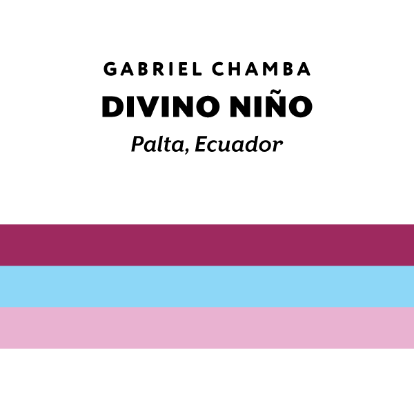 H&S Coffee- Ecuador Divino Niño 250g