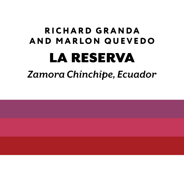 H&S Coffee- Ecuador La Reserva Sidra 250g