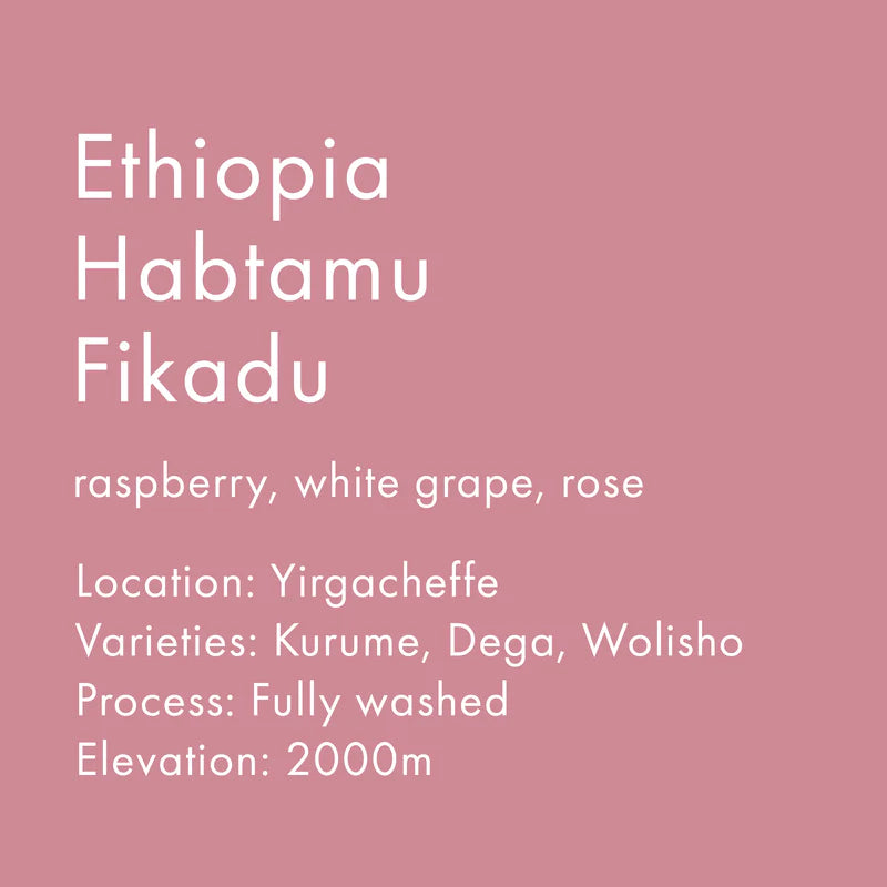 Heart- Ethiopia Habtamu Fikadu 16oz