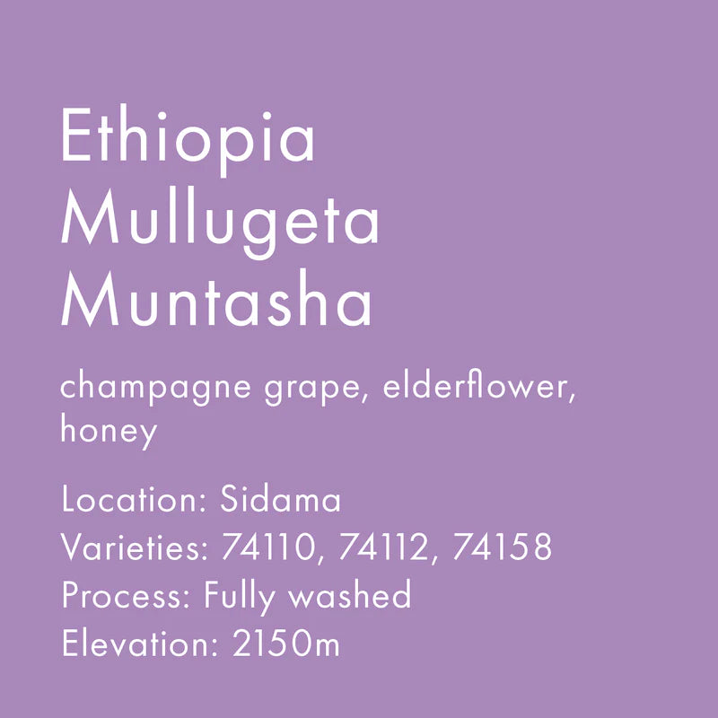 Heart- Ethiopia Mullugeta Muntasha 10.5oz