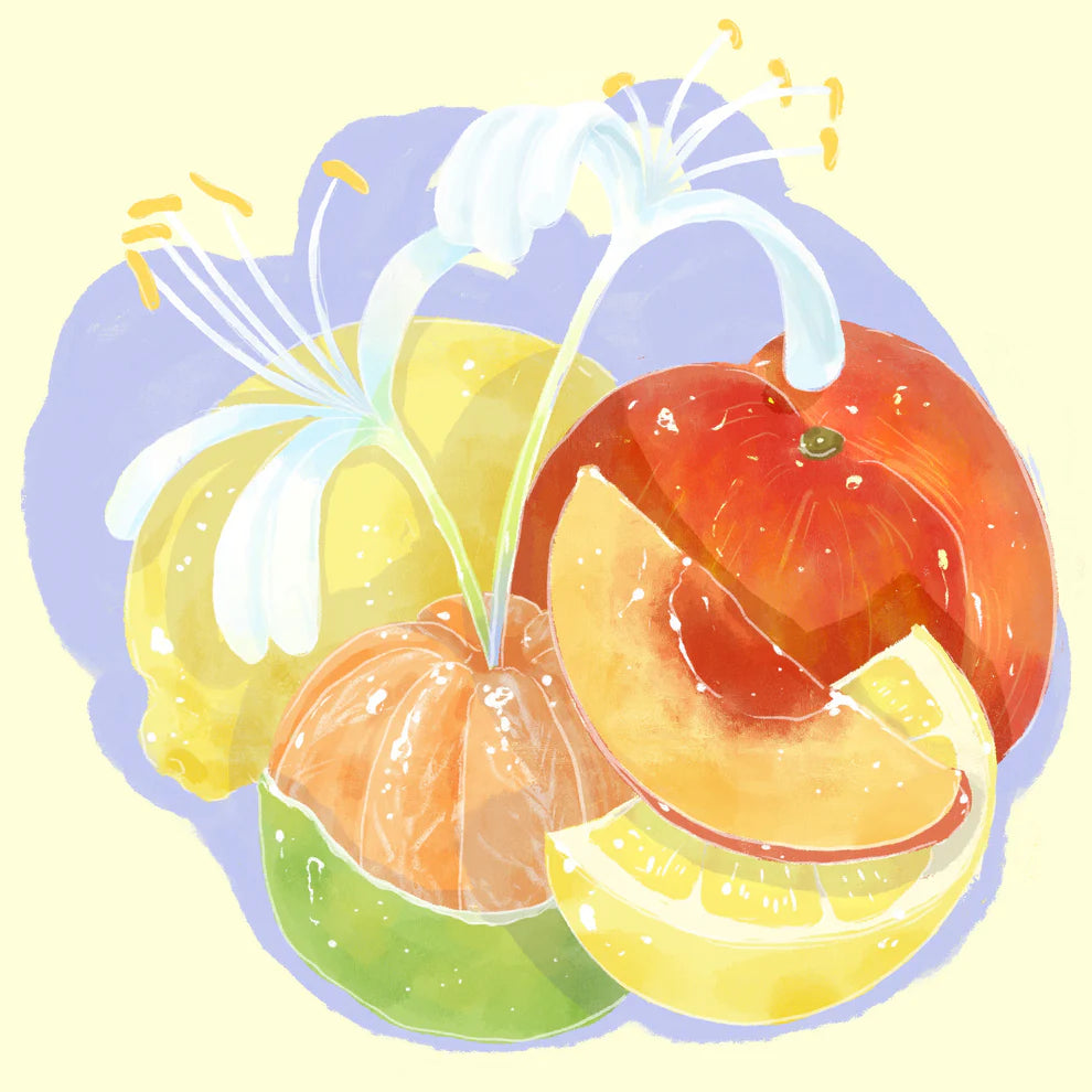 Hydrangea - Habtamu Fekadu Aga, Chelbesa Outgrowers - Landrace- Washed - Ethiopia 8oz