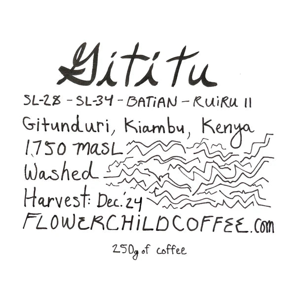 Flower Child- Gititu - Washed- Kenya 250g