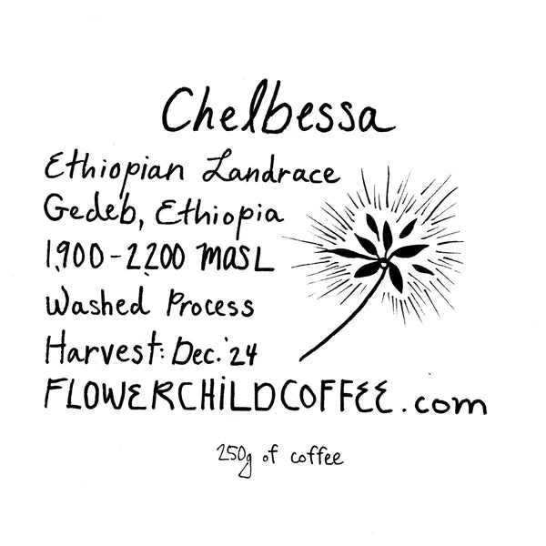 Flower Child- Chelbessa - Landrace- Washed- Ethiopia 250g