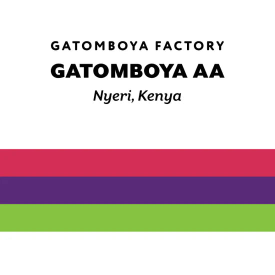 H&S Coffee- Kenya Gatomboya AA- SL28- Wasged- Kenya 250g