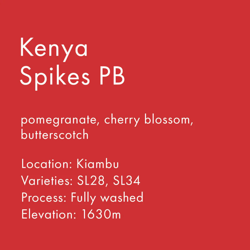 Heart- Kenya Spikes PB 10.5oz