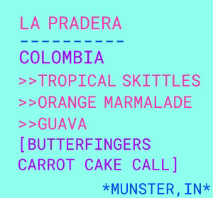 Botz Coffee - La Pradera - Pink Bourbon, Geisha - Washed - Colombia 12oz