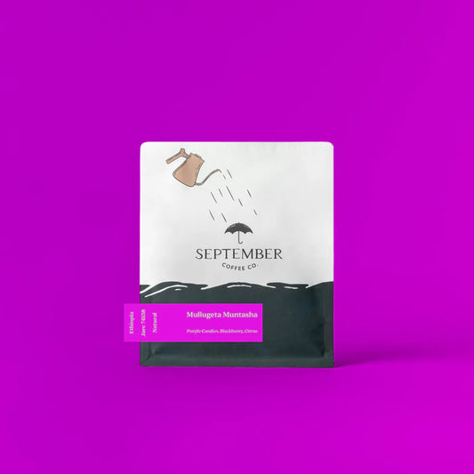 September- Mullugeta Muntasha - Jarc 74158- Natural - Ethiopia 250g