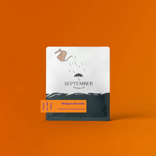 September- Mullugeta Muntasha - Jarc 74158- Washed - Ethiopia 250g