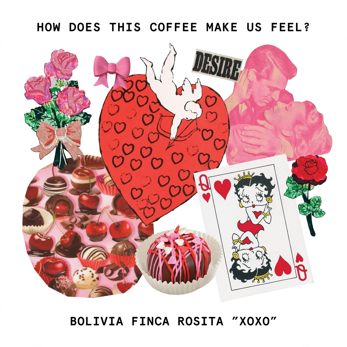 Touchy Coffee - XOXO: A FLIRTY COFFEE 12oz