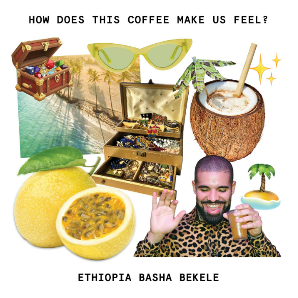 Touchy Coffee- Ethiopia Basha Bekele 12oz