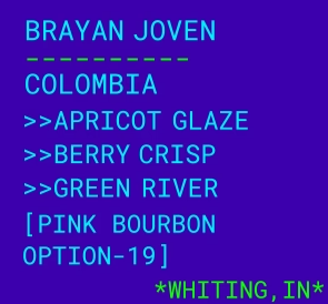 Botz Coffee- Brayan Joven- Pink Bourbon Washed 12oz