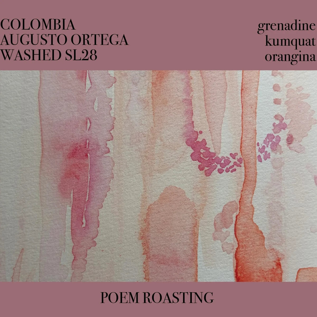 Poem - Augusto Ortega - SL28 - Washed - Colombia 250g