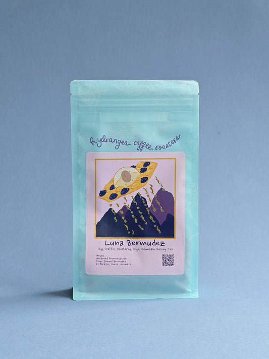 Hydrangea- Gesha - Luna Bermudez - Finca El Paraiso 4oz