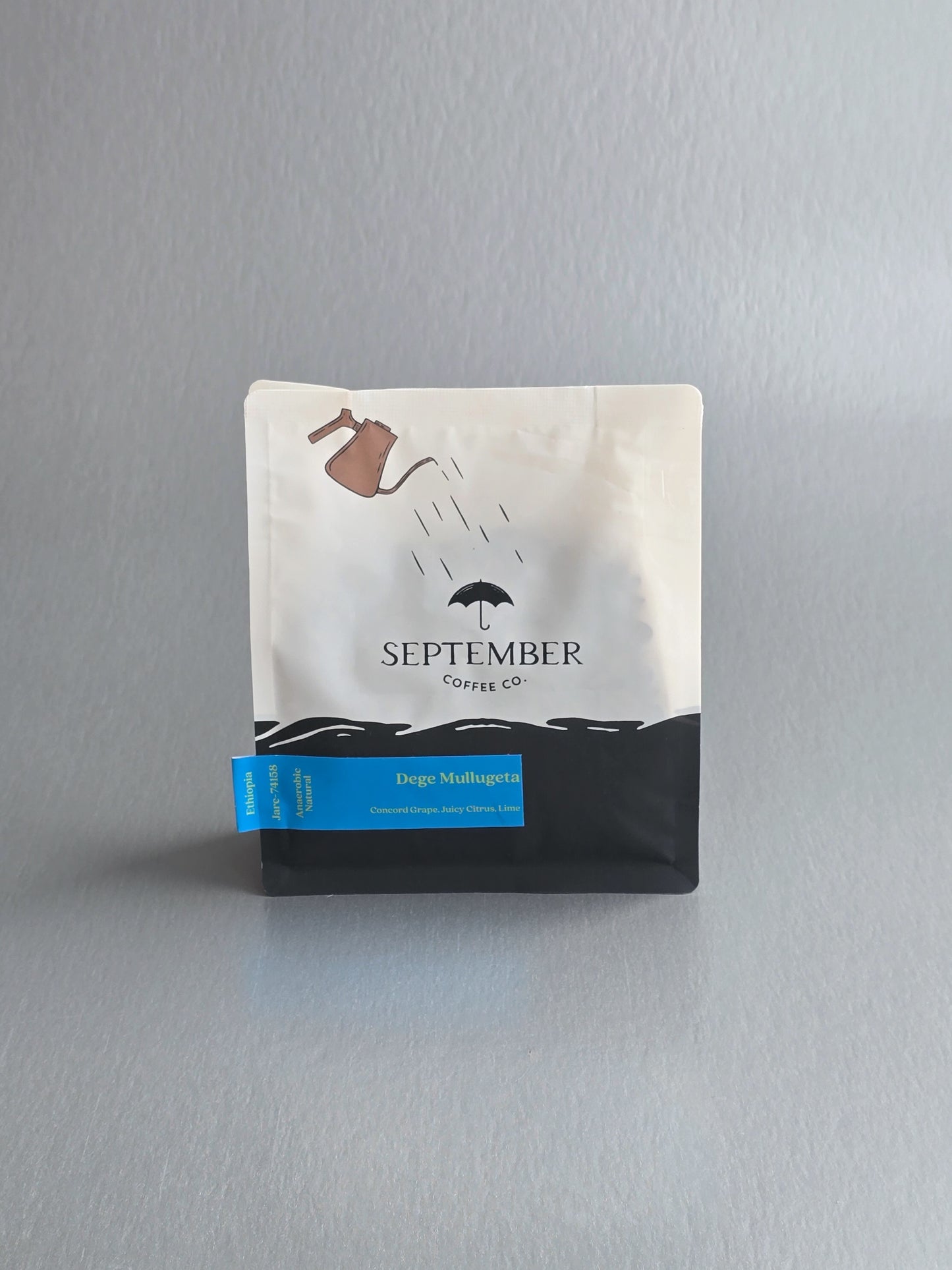 September- Dege Mullugeta - Larc 74158 - Anaerobic Natural - Ethiopia 250g