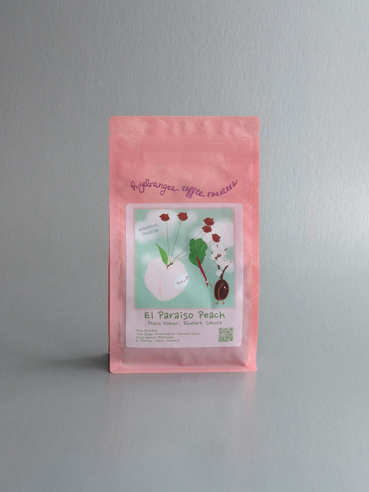 Hydrangea- Peach Finca El Parasio - Pink Bourbon - Thermal Shock - Colombia 8oz