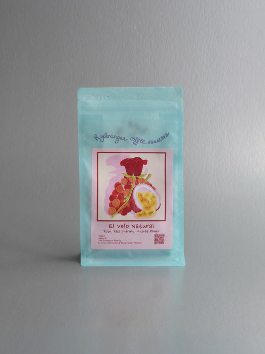 Hydrangea - El Velo Hacienda La Esmeralda - Gesha - Natural - Panama 4oz