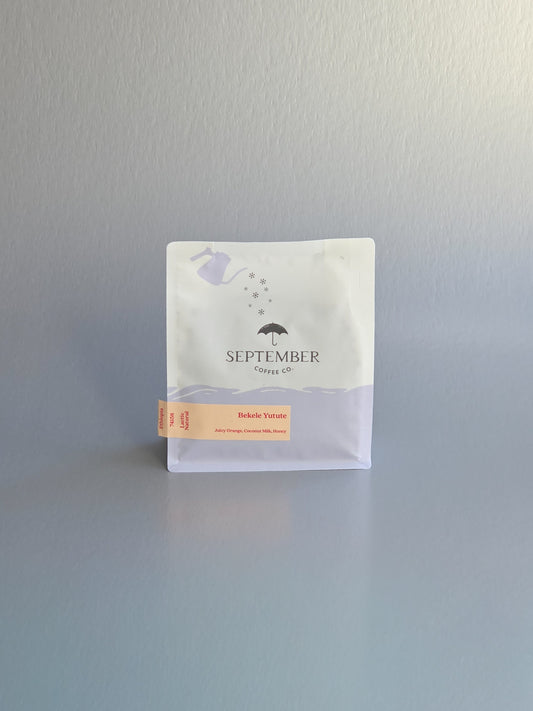 September- Bekele Yutute - Jarc 74158 - Lactic Natural - Ethiopia 250g