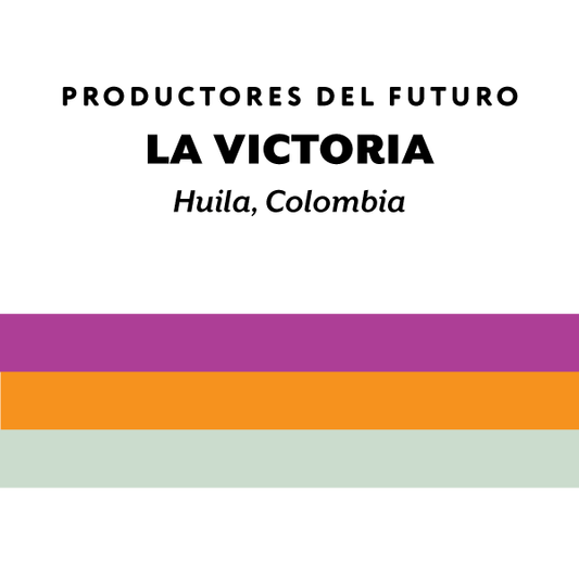 H&S Coffee- La Victoria - Caturra - Washed - Colombia 250g