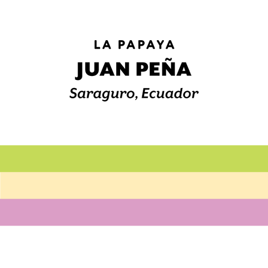 H&S Coffee - Ecuador Juan Peña Mejorado - Typica Mejorado - Washed - Ecuador 125g