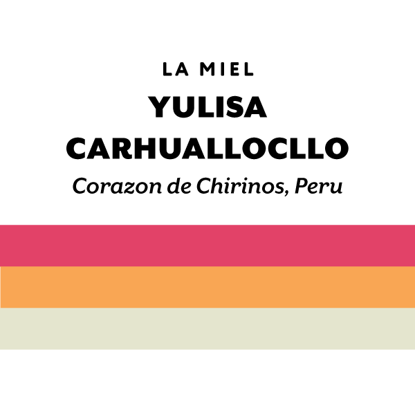 H&S Coffee- Yulisa Carhuallocllo - Gesha - Extended Fermented Washed - Peru 125g
