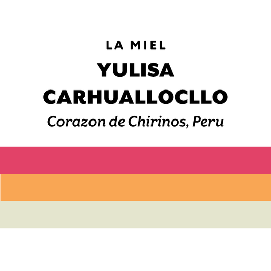 H&S Coffee- Yulisa Carhuallocllo - Gesha - Extended Fermented Washed - Peru 125g