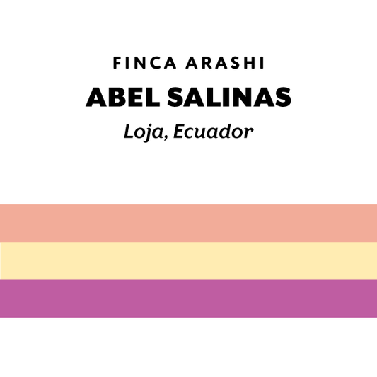 H&S Coffee - Ecuador Abel Salinas - Typica Mejorado - Washed - Ecuador 125g
