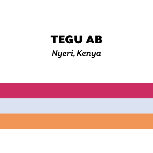 H&S Coffee - Kenya Tegu AB - SL-28 field blend - Washed - Kenya 125g