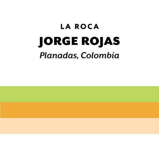 H&S Coffee - Colombia Jorge Rojas - Geisha - Anaerobic washed - Colombia 125g