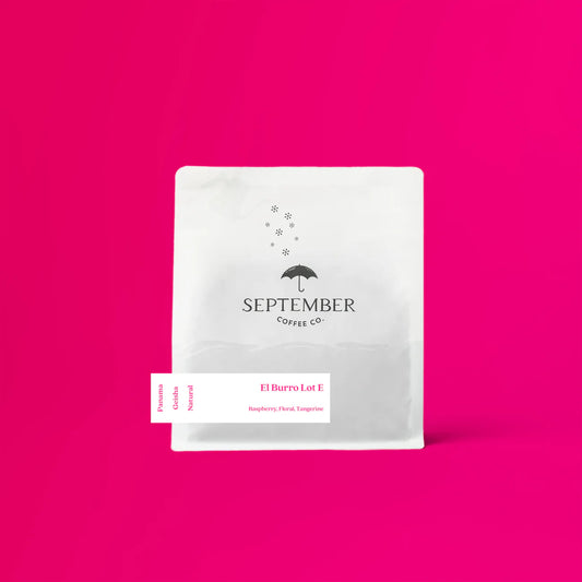 September- El Burro Lot E - Geisha - Natural - Panama 100g