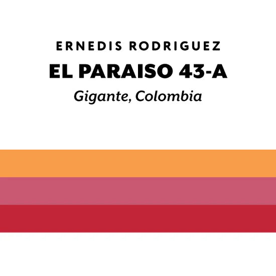 H&S Coffee- El Paraiso 43-A - Caturra- Washed 250g