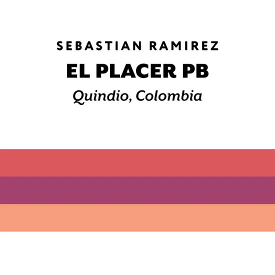 H&S Coffee- El Placer- Pink Bourbon- Washed 250g