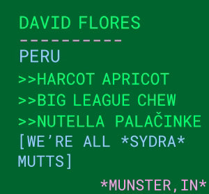 Botz- David Flores - Sydra- Washed - Peru 12oz