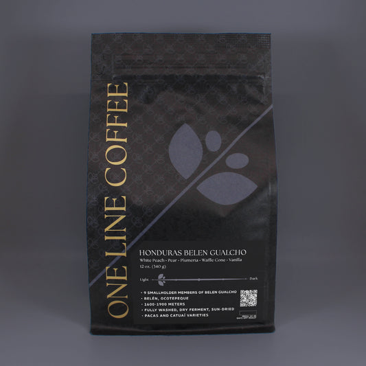 One Line - Belén Gualcho - Pacas, Catuaí - Washed - Honduras 12oz