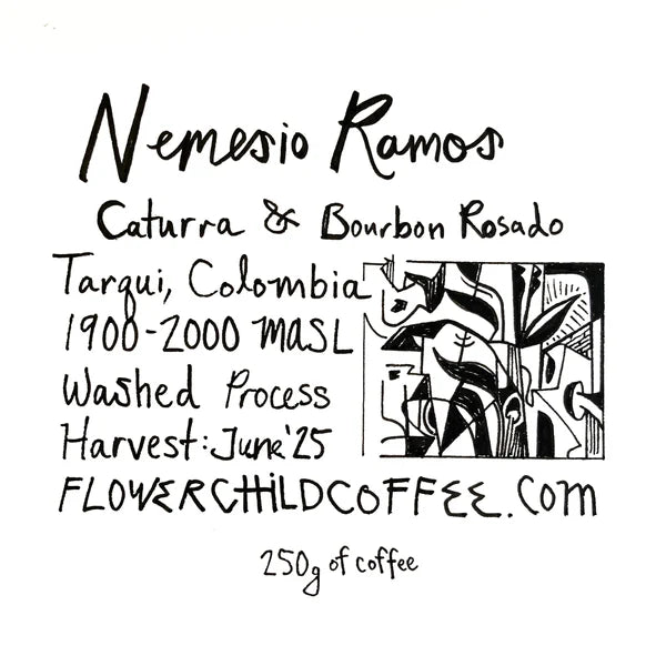 Flower Child- Nemesio Ramos Trujillo - Pink Bourbon + Caturra - Washed- Colombia 250g