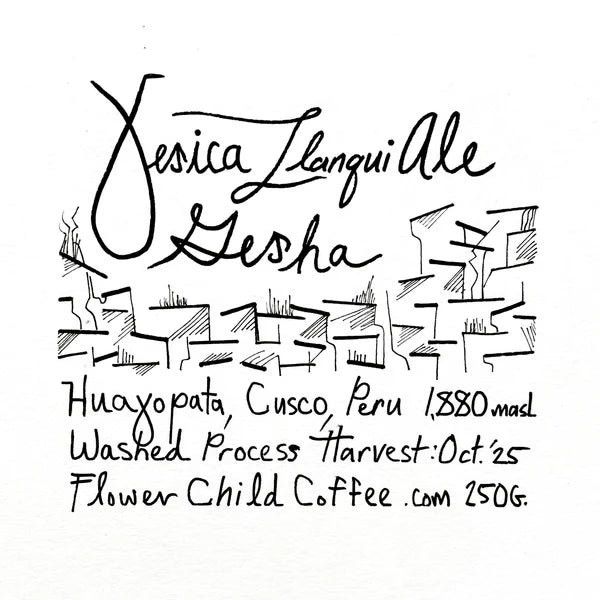 Flower Child - Yesica Ale Llanqui - Gesha - Washed - Peru 250g