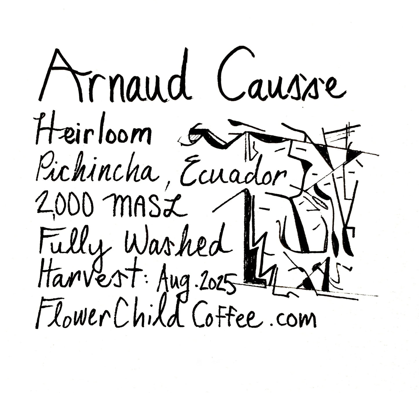 Flower Child- Arnaud Causse - Landrace - Washed - Ecuador 250g