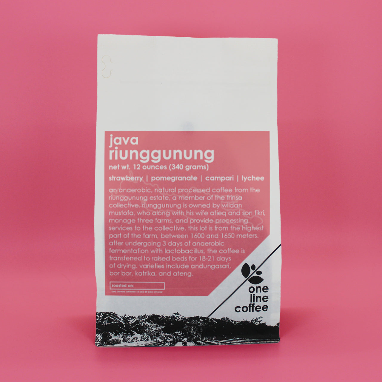 One Line- Java Riunggunung 12oz