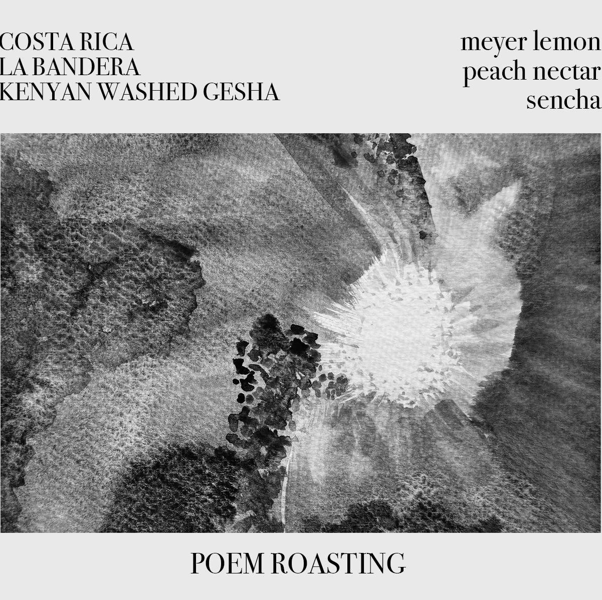 Poem - La Bandera - Gesha - Washed - Costa Rica 250g