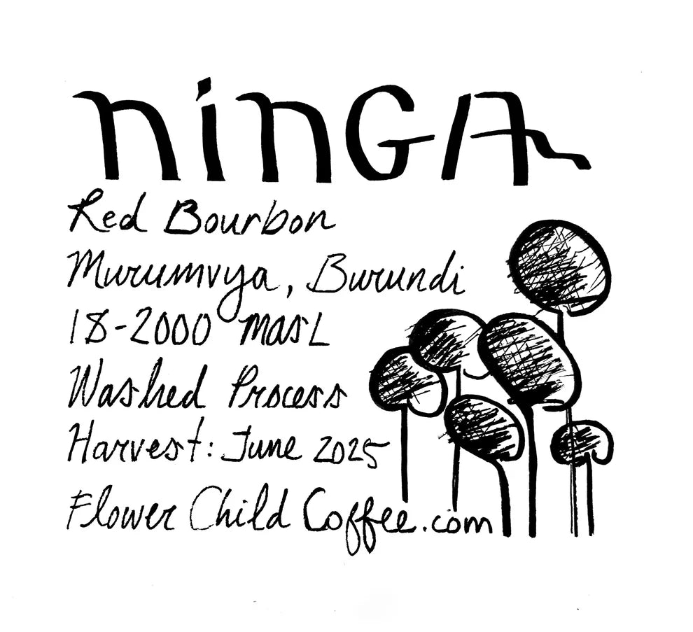 Flower Child- Ninga - Bourbon - Washed- Burundi 2lb